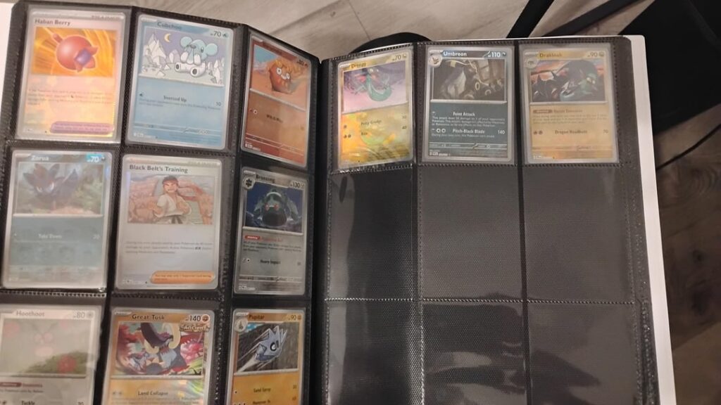 I love the pokeball holos and hope one day to have a whole binder full
