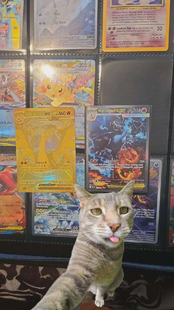 Both the zardys together