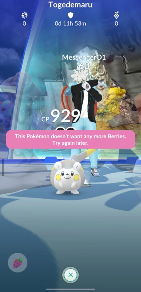 What's the matter with Togedemaru :⁠^⁠)