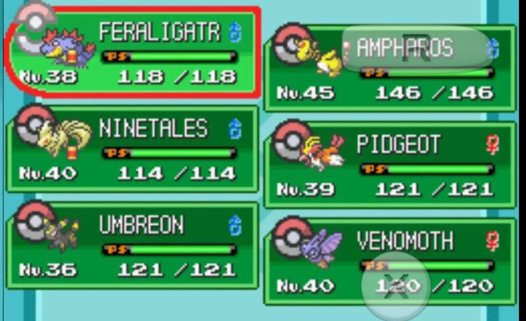 My Pokémon team in Pokémon soul silver