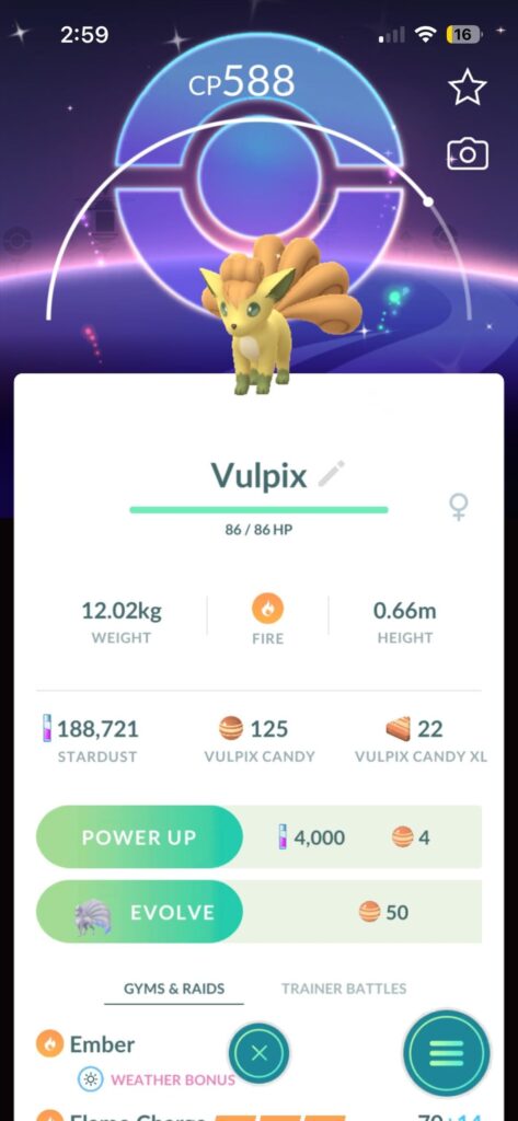 What does this blue background mean? (I just got two shiny (normal) vulipx in the background for one of them is different)