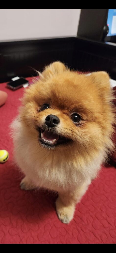 Turns out I had one of the starters all along, living rent free in my home.