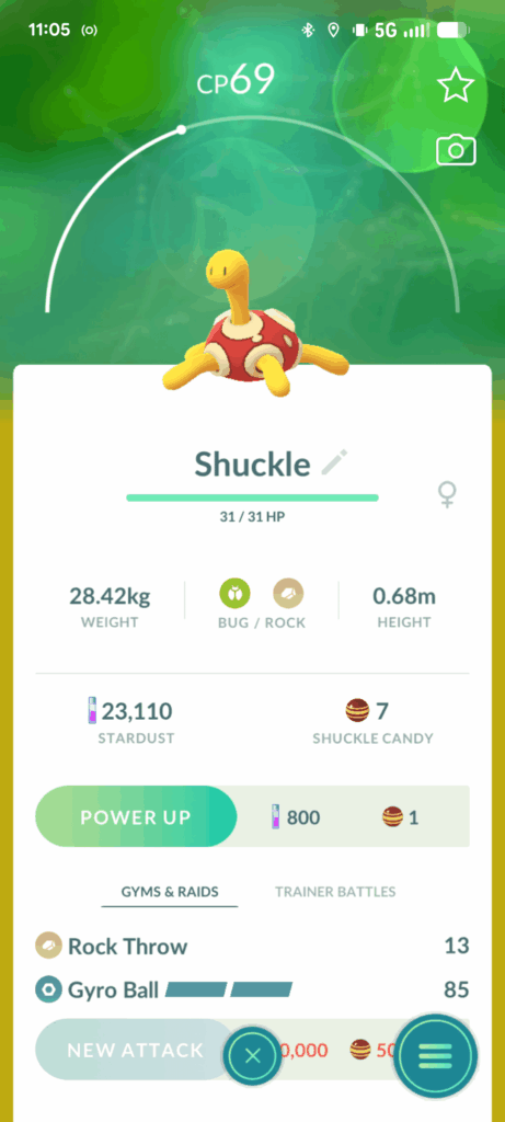 I caught this little guy. What should I name him?