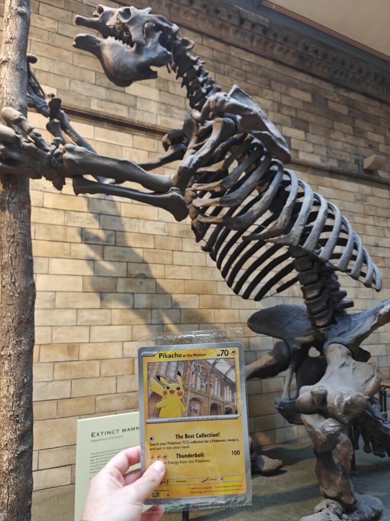 Jumbo Card Grail Case