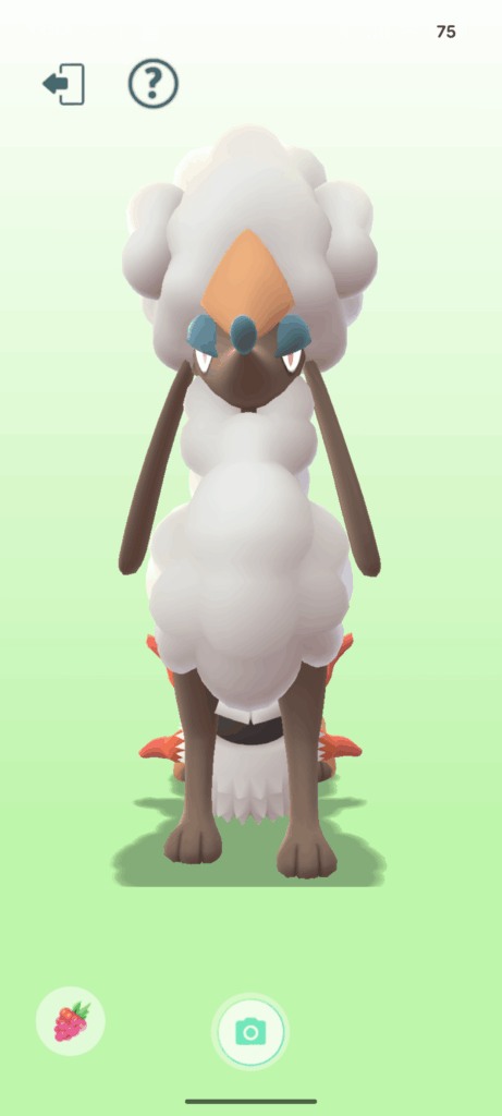 Anyone know what's going on here?