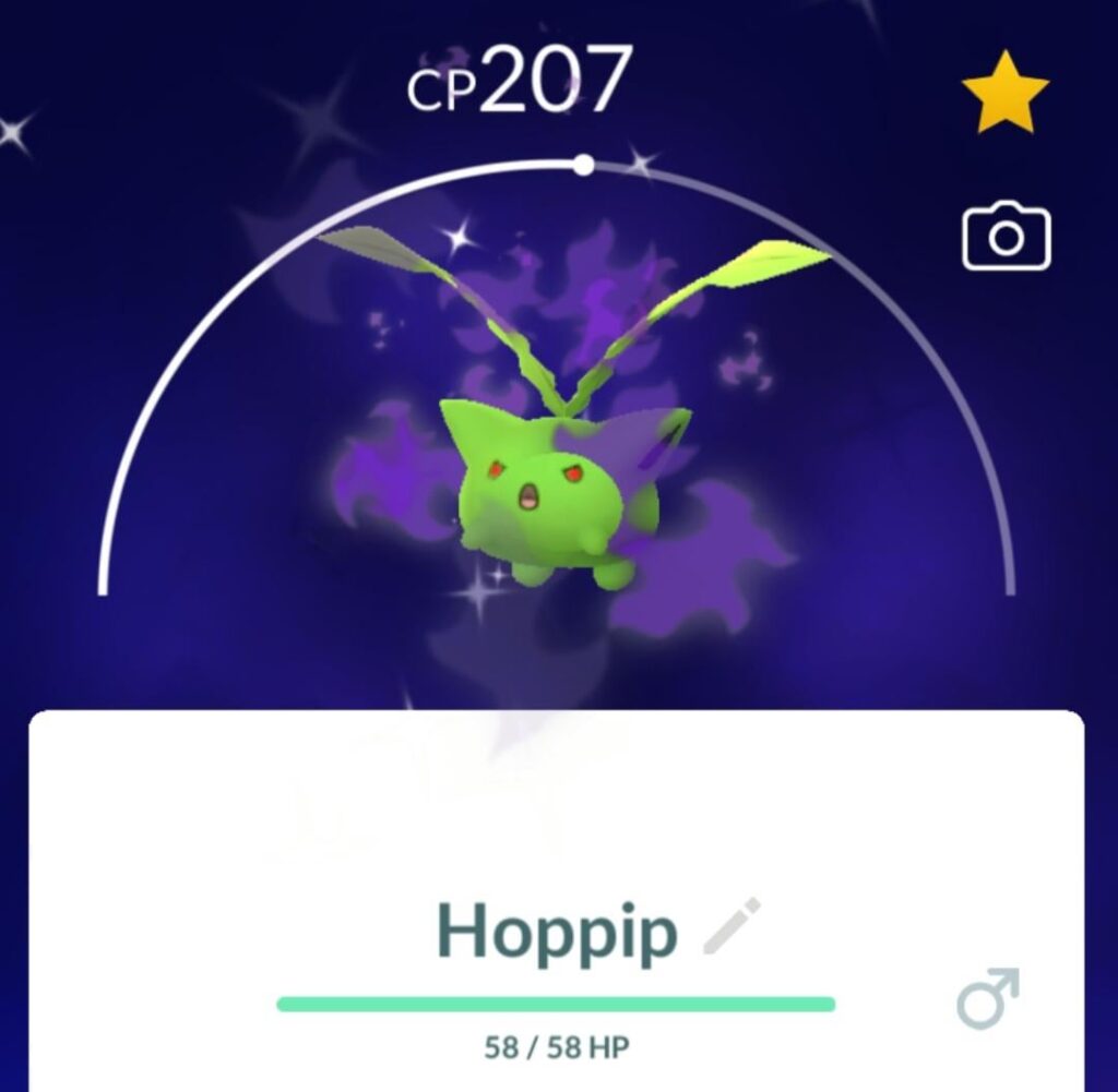 Shadow Shiny Hoppip looks even cuter!