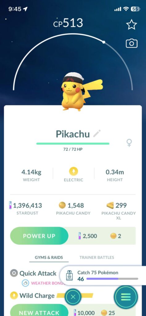 Brendan pika ungender locked