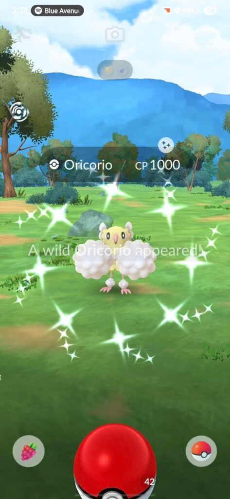 HOLICORIO, it's a Shundocorio!!!