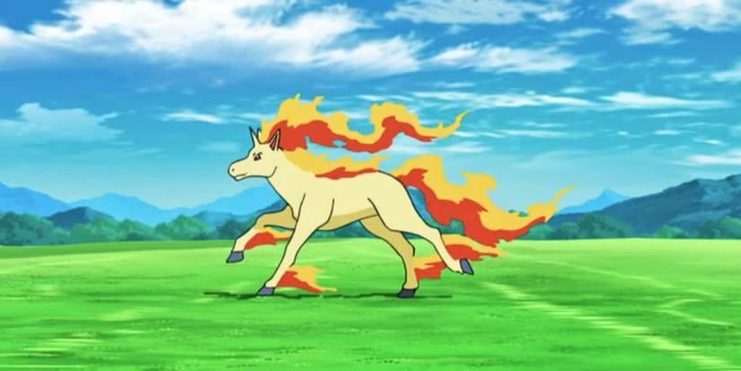 Happy Lunar New Year