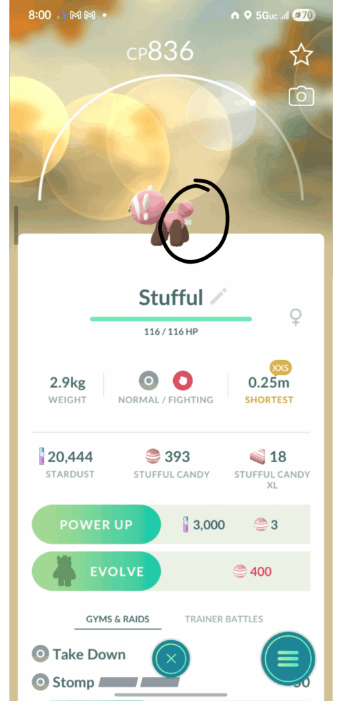 STUFFUL COMES WITH A TAG