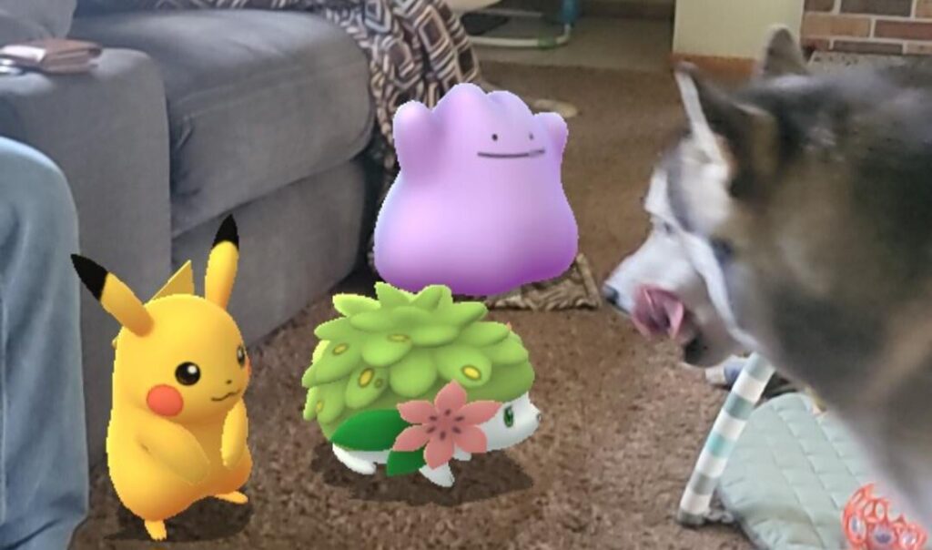 Just my pooch chilling with my 'mons.