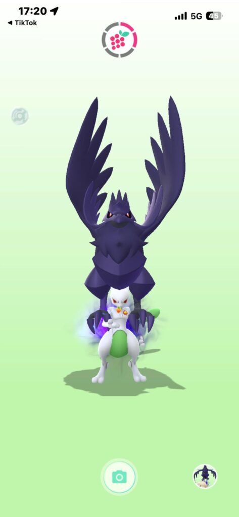 weird bird on my buddy