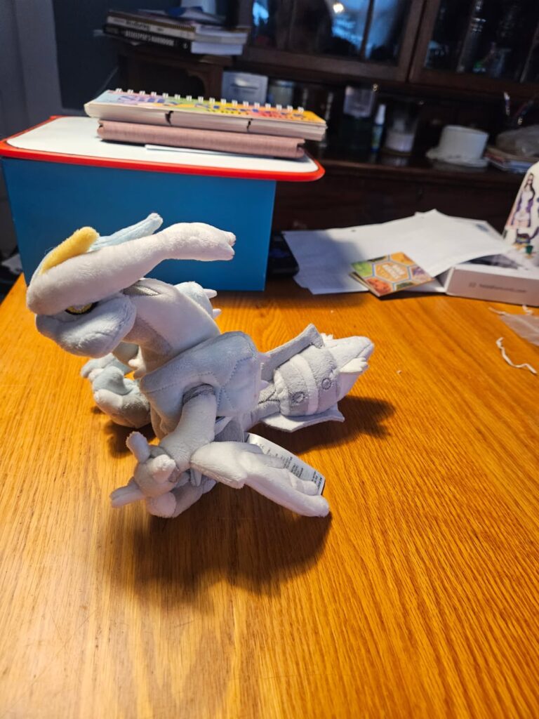 I form changed kyurem IRL