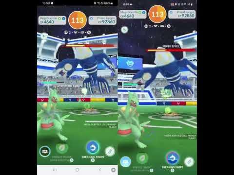 Primal Kyogre and Groudon Duo and Mock Solo