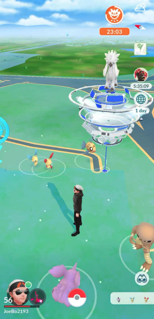 Couldn’t bring myself to catch either of these lil guys and separate them