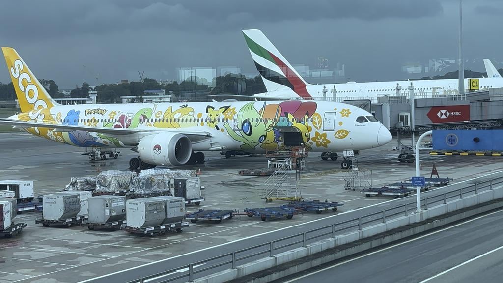 Just spotted the Scoot Pokémon Plane