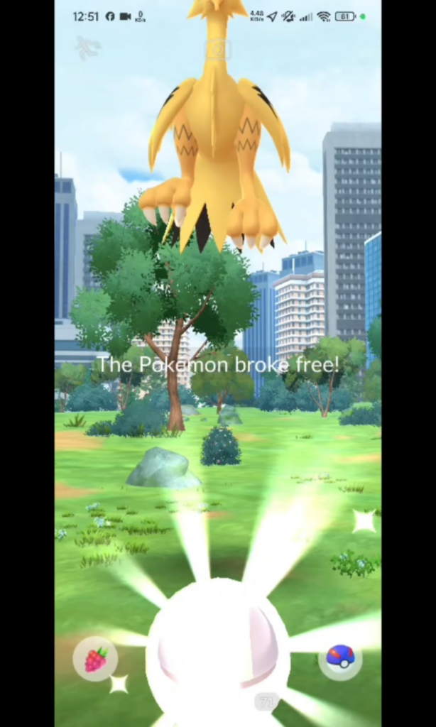 Finally got this bird