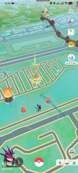 What kind of ritual is this?