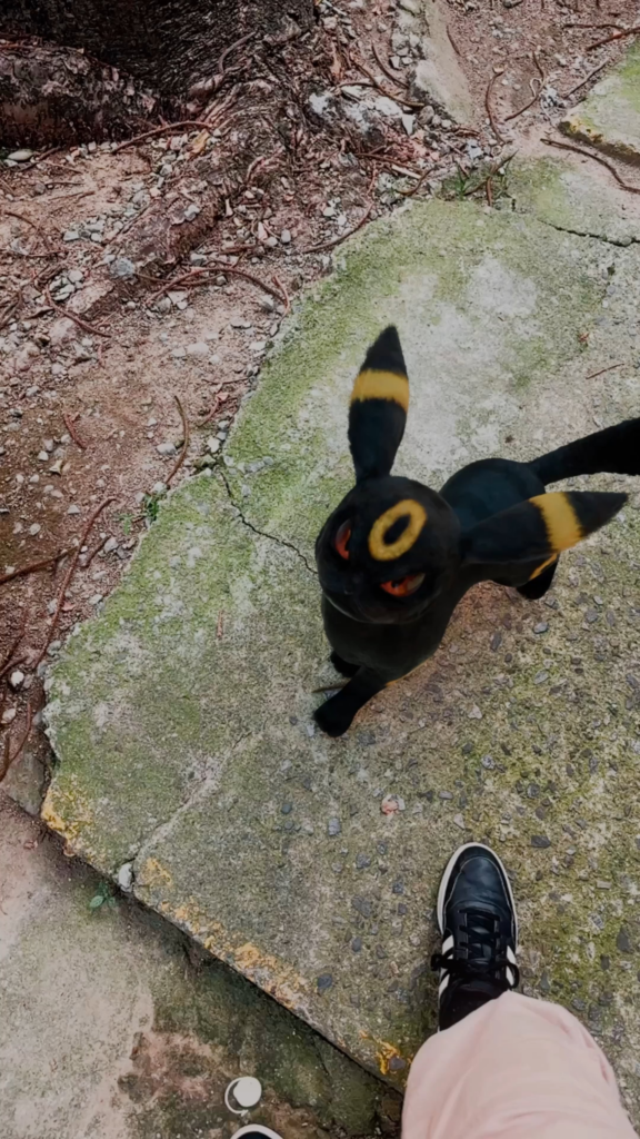 Took my Umbreon for a walk and stumbled upon this...