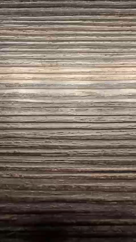 He had no idea what he got