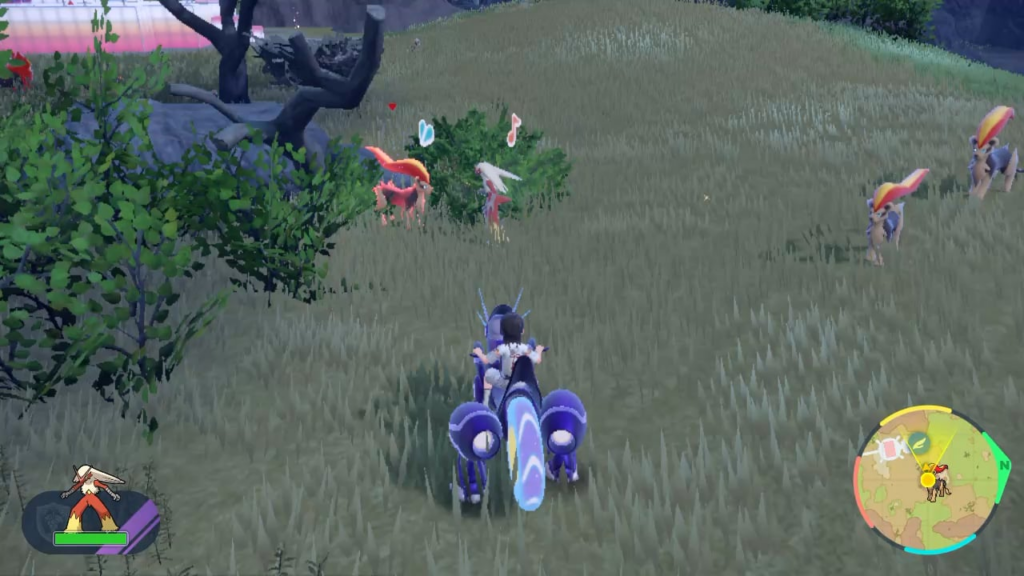 This is for what you did in wild zone 17!