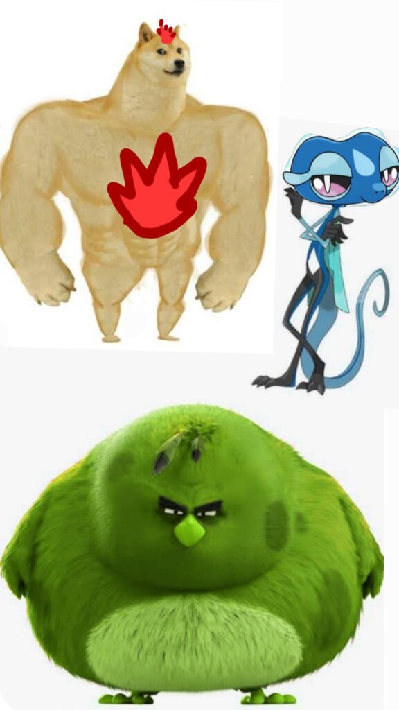 I nuovi starter finali