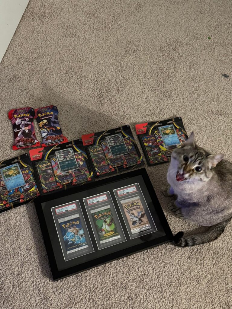 Sealed collection progress. How do you all like to store and display your things?