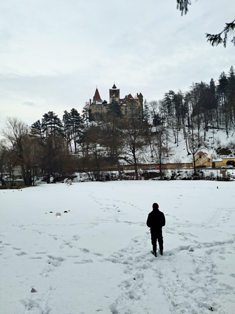 Zoom in and find 15 Pokémon