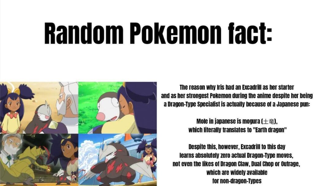 In case you ever wondered