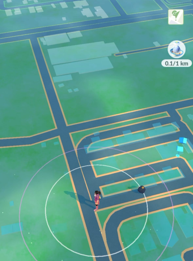 why is my roggenrola running away ? 😭