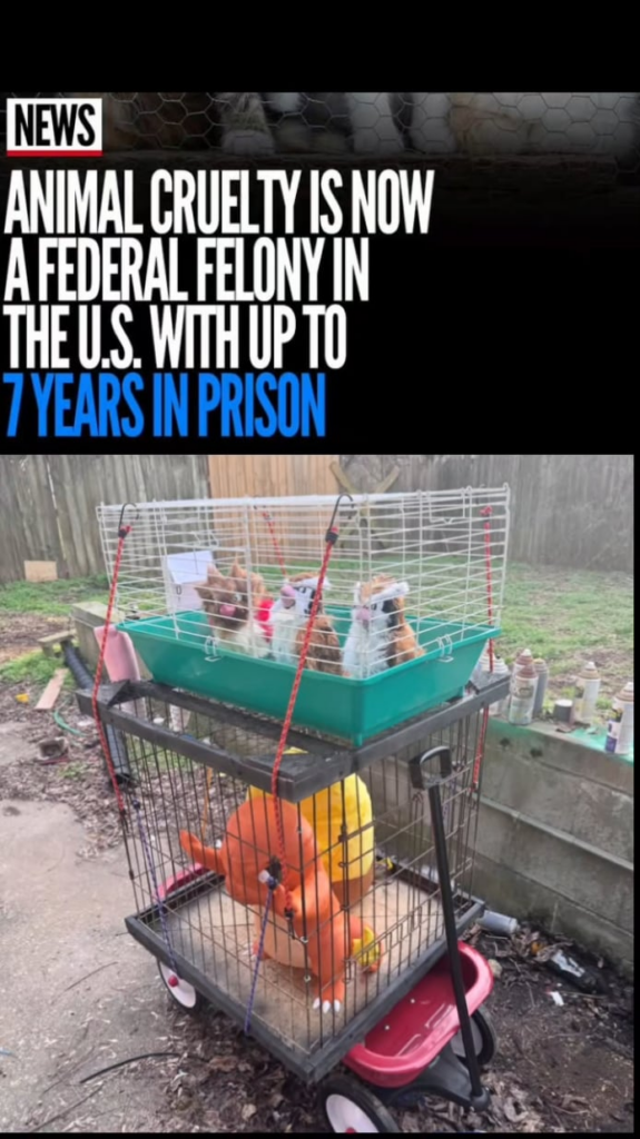 I could see this happening in Pyrite Town