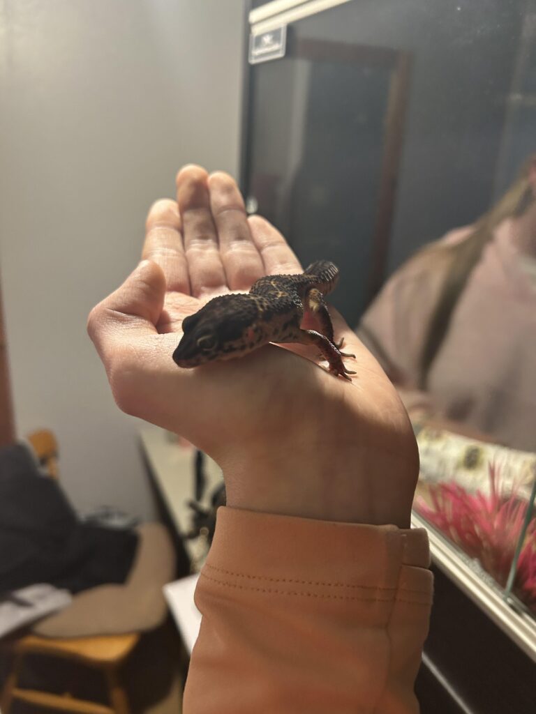 Hatched but male 🥲😭