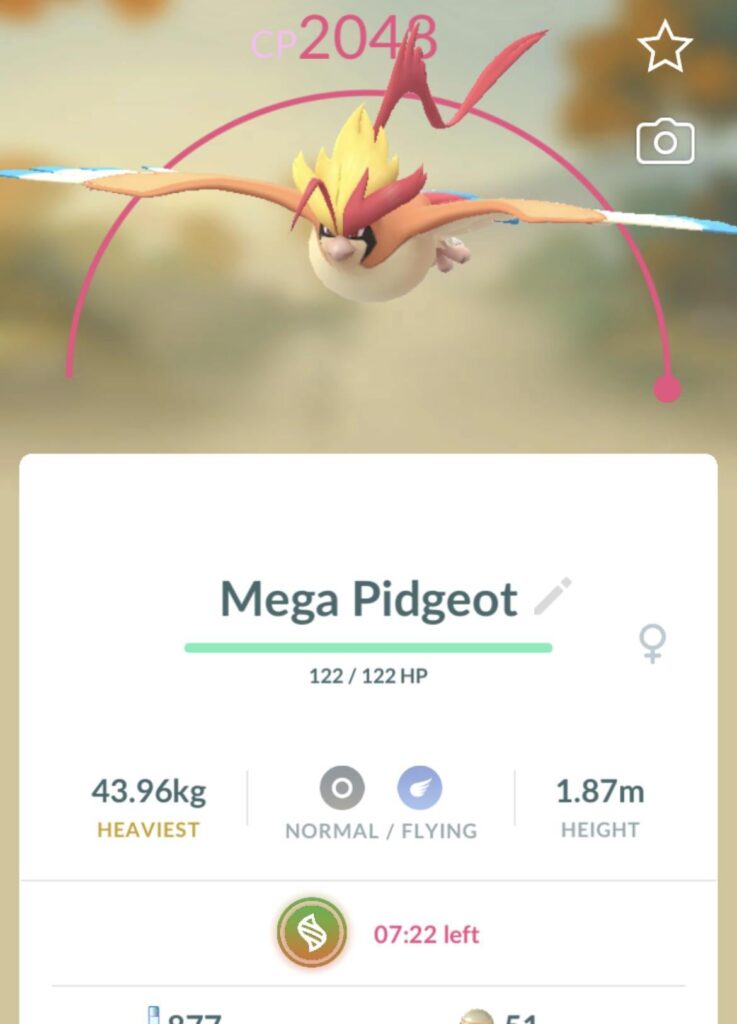 A lost remote pass over a simple pidgeot