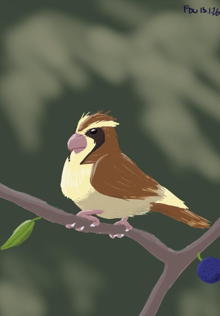 Drawing Pokémon until I’m happy with my procreate skills - #6 a bird uhh I mean 0016 Pidgey