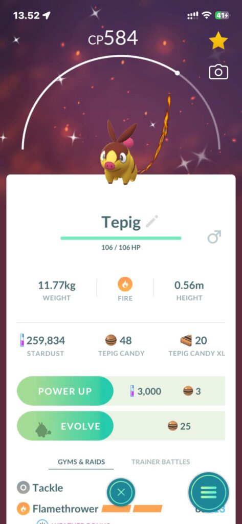 Look at this lil piggy 🤩