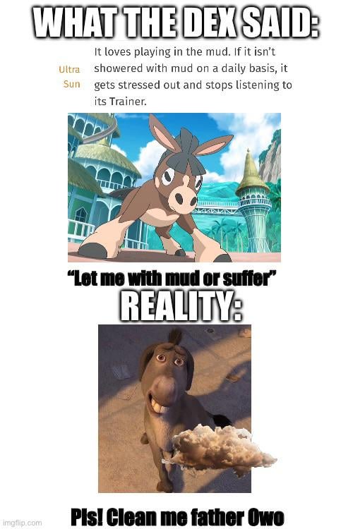 There’s no way people didn’t experience this in USUM (Bro is lucky he’s cute and strong)