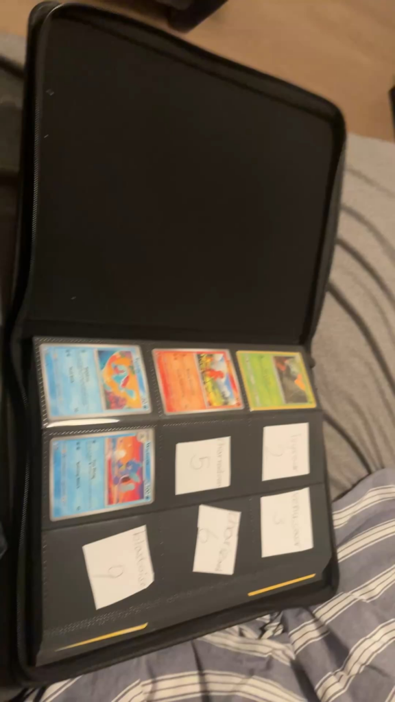 Starting a pokedex binder
