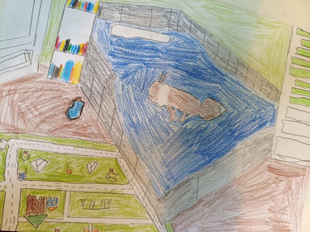 I drawn an Eevee in my room