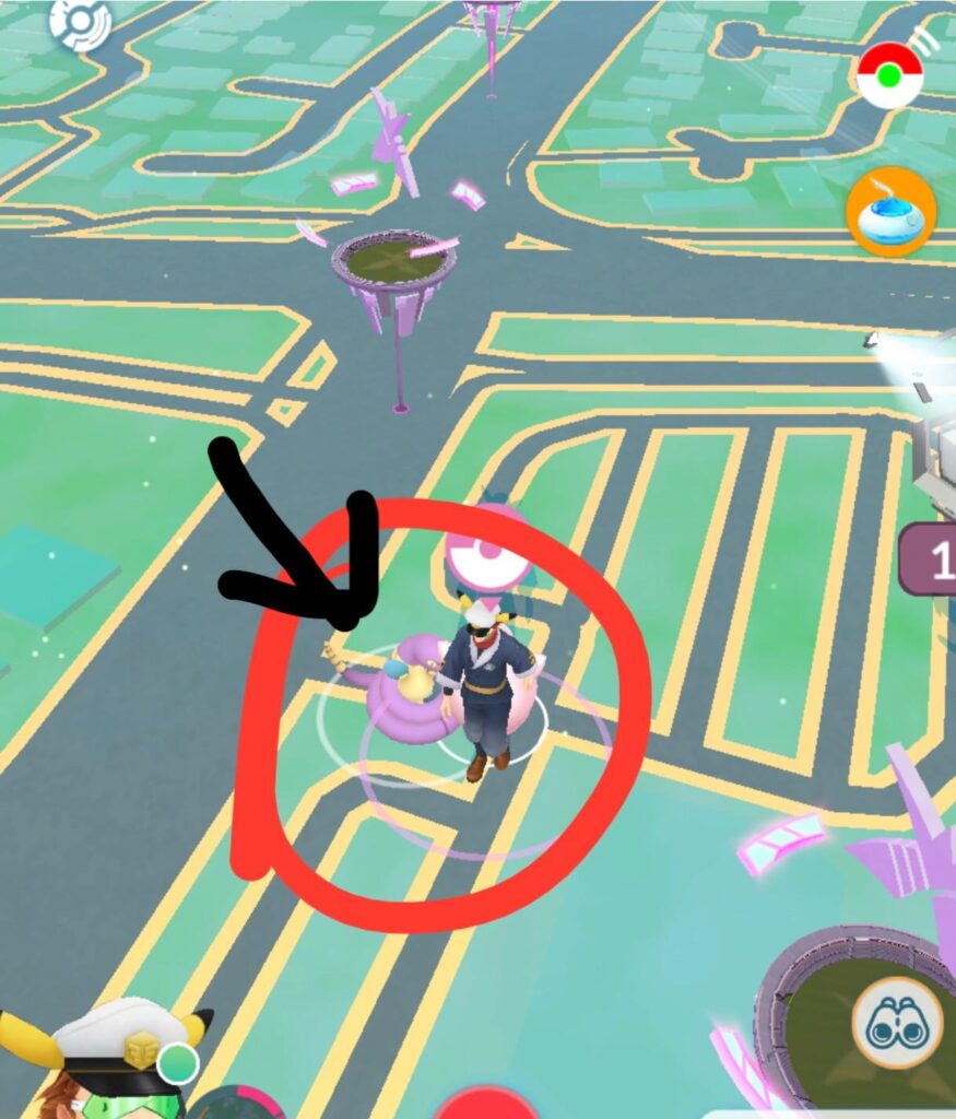 I found my own 'torchic and ekans' combo