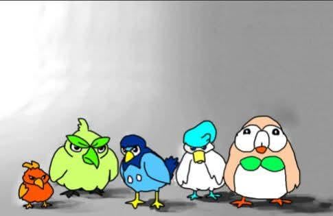 The Bird Family 🐦