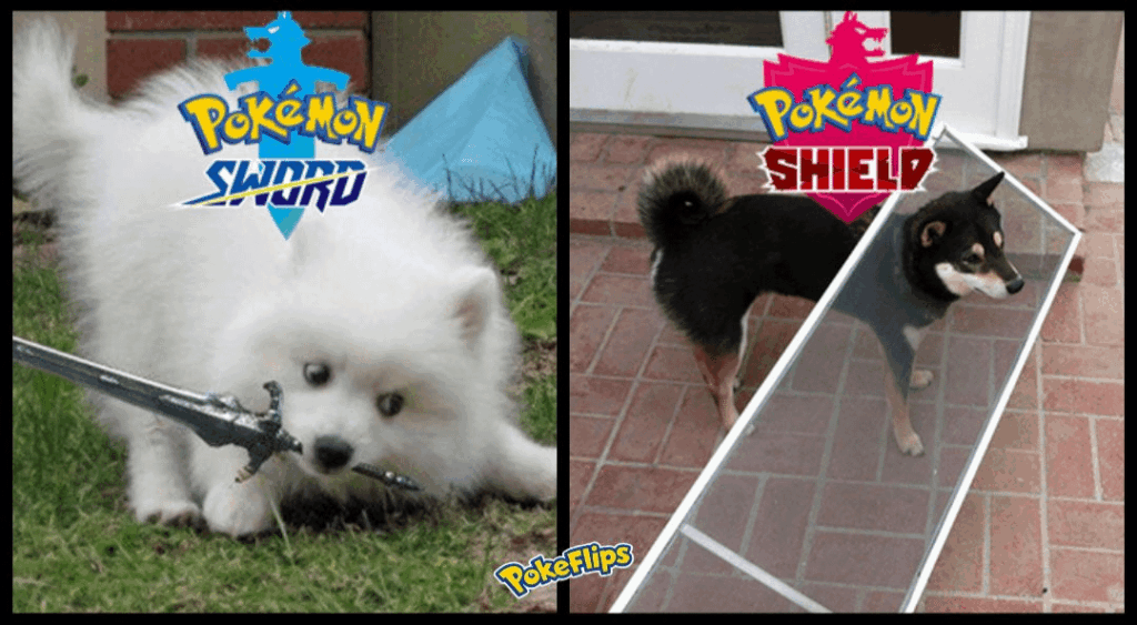 The ultimate battle of good boys. Sword Doggy vs Shield Doggy