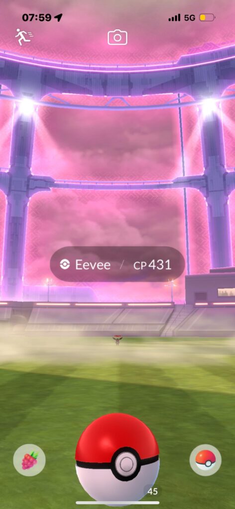 My first dynamin pokemon!