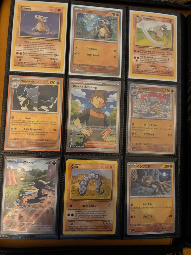 Some of my completed and incomplete trainer-themed pages