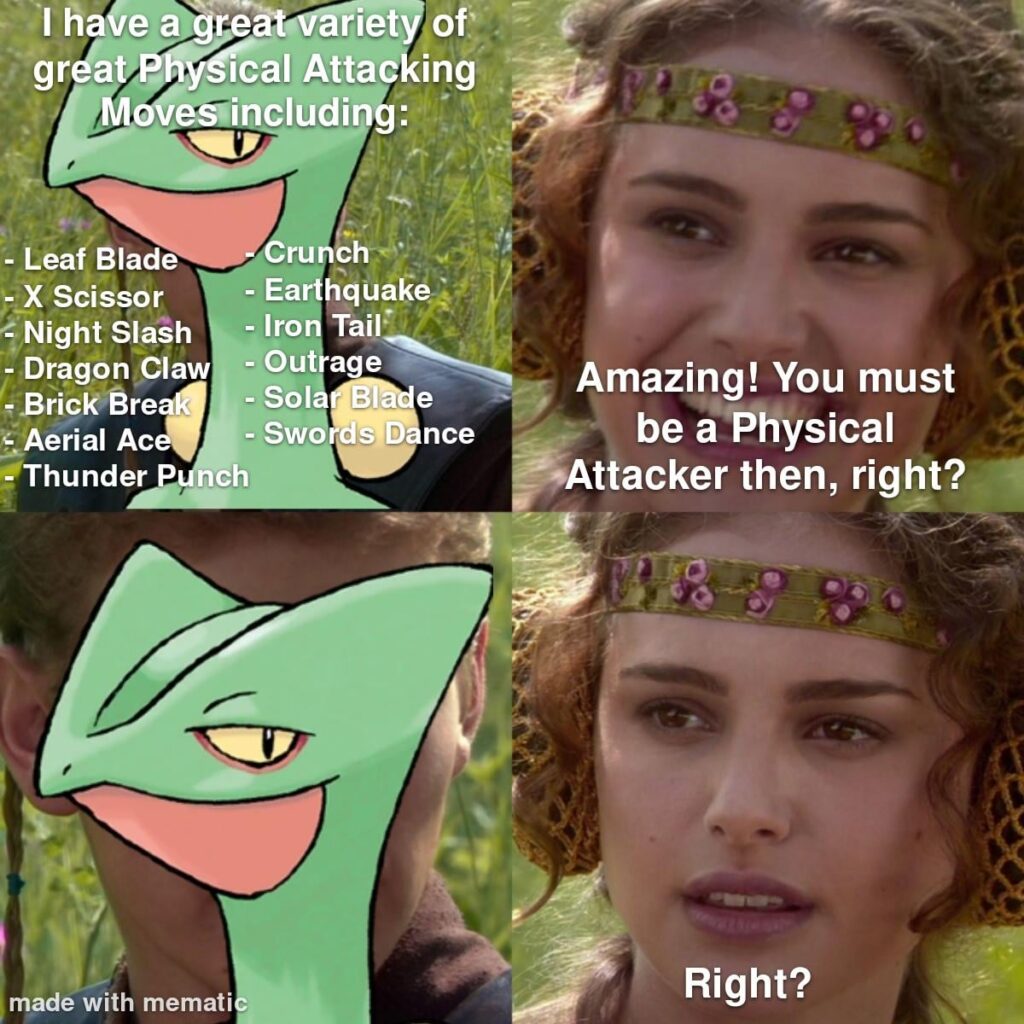 How have they still not switched Sceptile's Physical and Special Attack Stats?