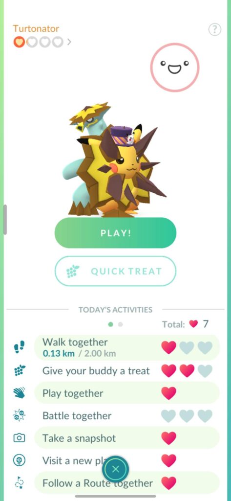 Turt looks incredibly confused...