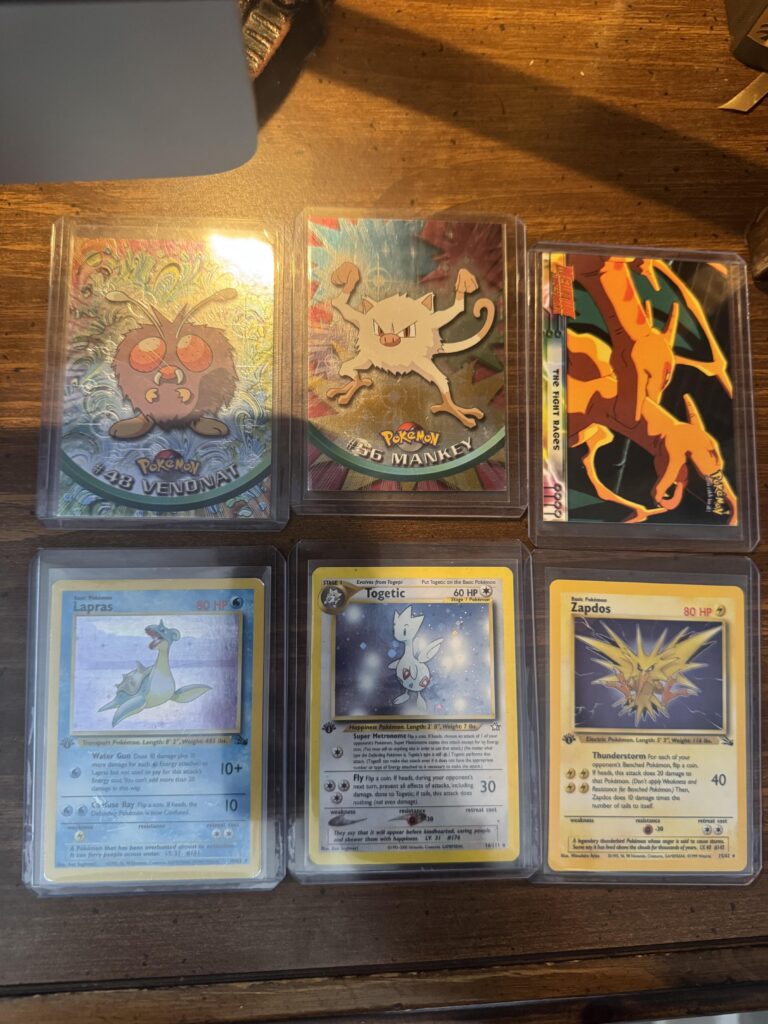 picked these up at a yard sale