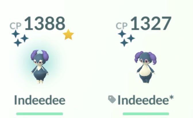 Indubitably one of my favorite pair despite never using for GL