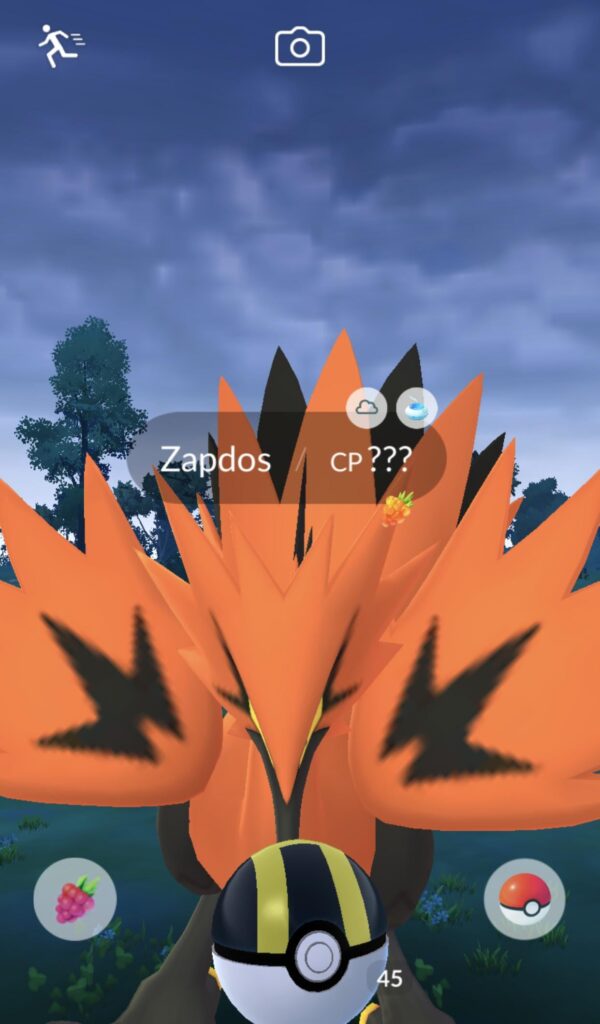 Guess who couldn’t catch a Galarian Zapdos