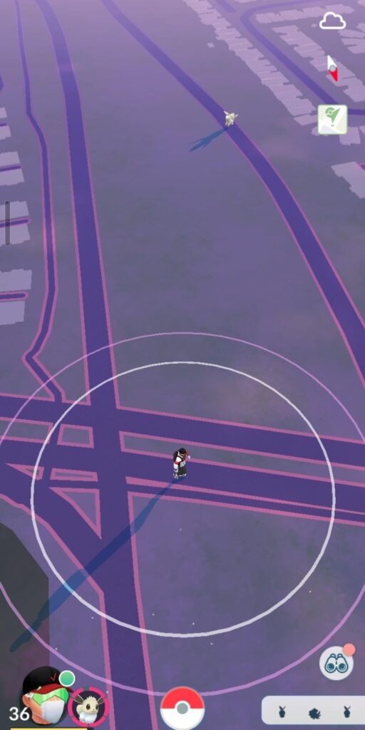 Where is my eevee going?