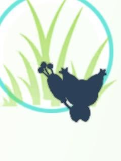 Who’s this pokemon
